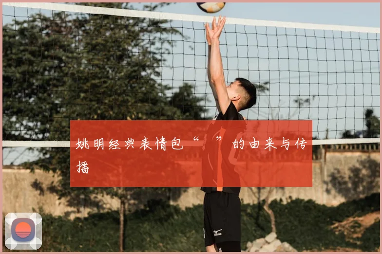 姚明经典表情包“囧”的由来与传播